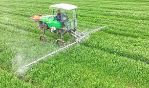 رش مبيدات حشريه بحفر الباطن